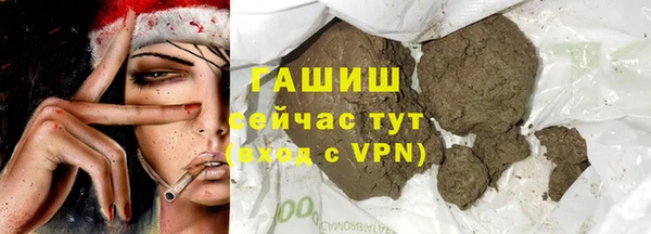 гашик Гусь-Хрустальный